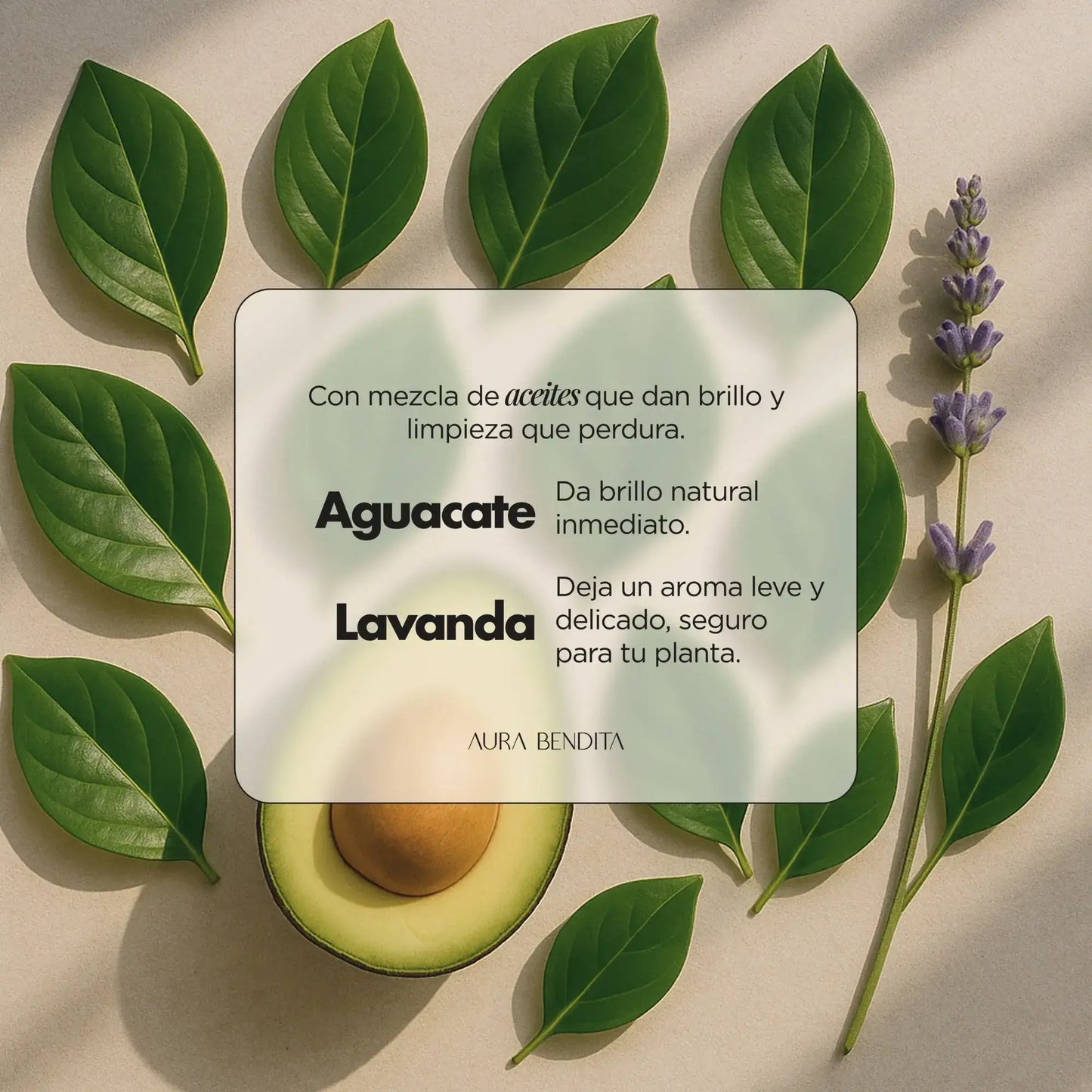 Abrillantador Plantas | Green Elixir - Aura Bendita