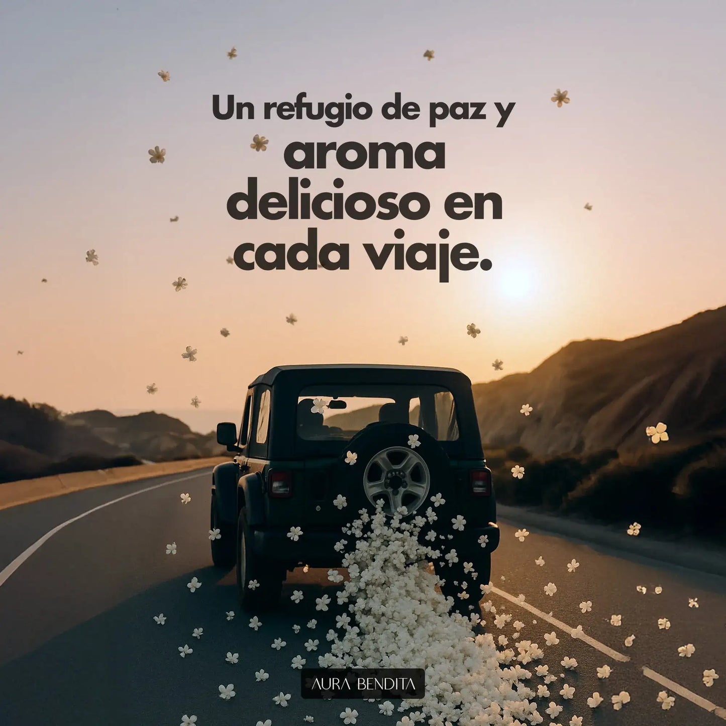 Aromatizante Auto | Highway Haven - Aura Bendita