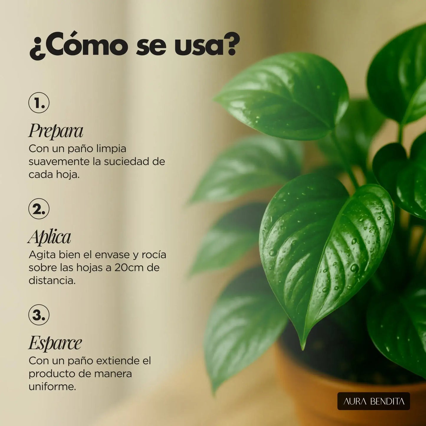 Abrillantador Plantas | Green Elixir - Aura Bendita
