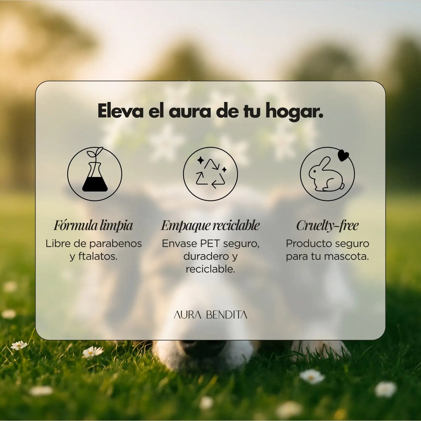 Limpiador Patas de Perro | Golden Paws - Aura Bendita