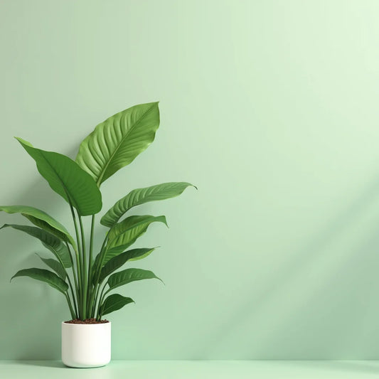 Abrillantador Natural Para Plantas - Guía práctica de abrillantador natural para plantas