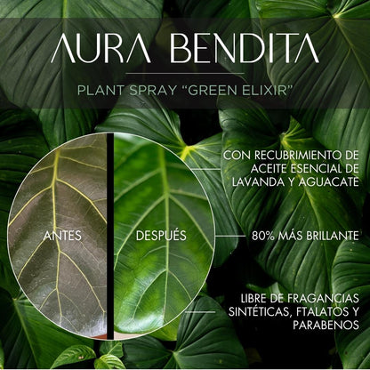 Spray para Plantas - Green Elixir 125ml - Plant Spray - Aura Bendita